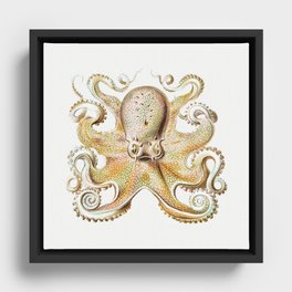 Vintage marine octopus - sandy shores Framed Canvas