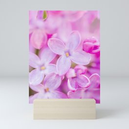 Lilacs in Bloom Mini Art Print