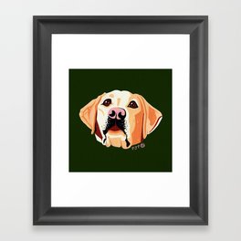 Golden Lab Framed Art Print