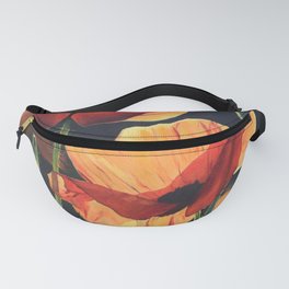 May' dancers Fanny Pack