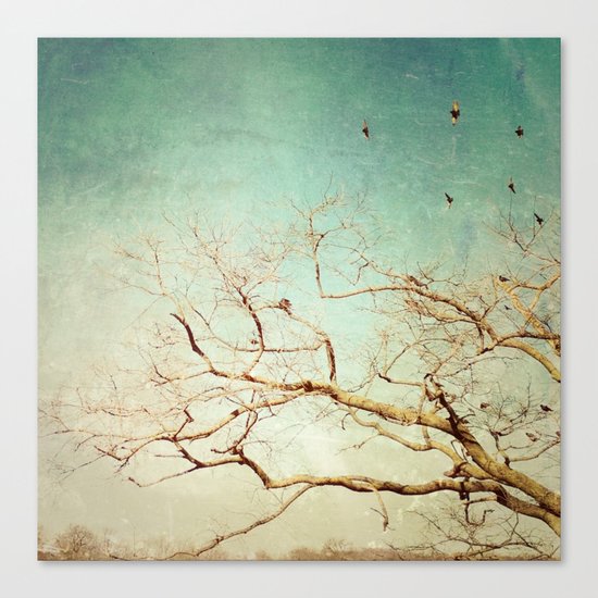 The Birds 2 Canvas Print