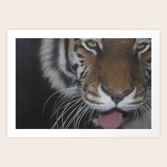 Roar Art Print