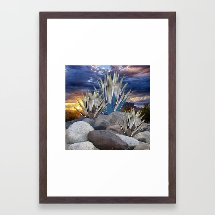 Agave Cactus Grey Rocks Sunset Landscape Framed Art Print By