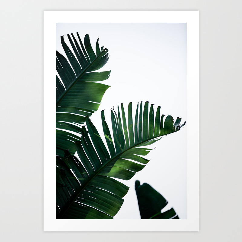 Palm Leaves 16 Art Print By Maboe Society6 Palm Leaves 16 Art Print By Maboe Society6