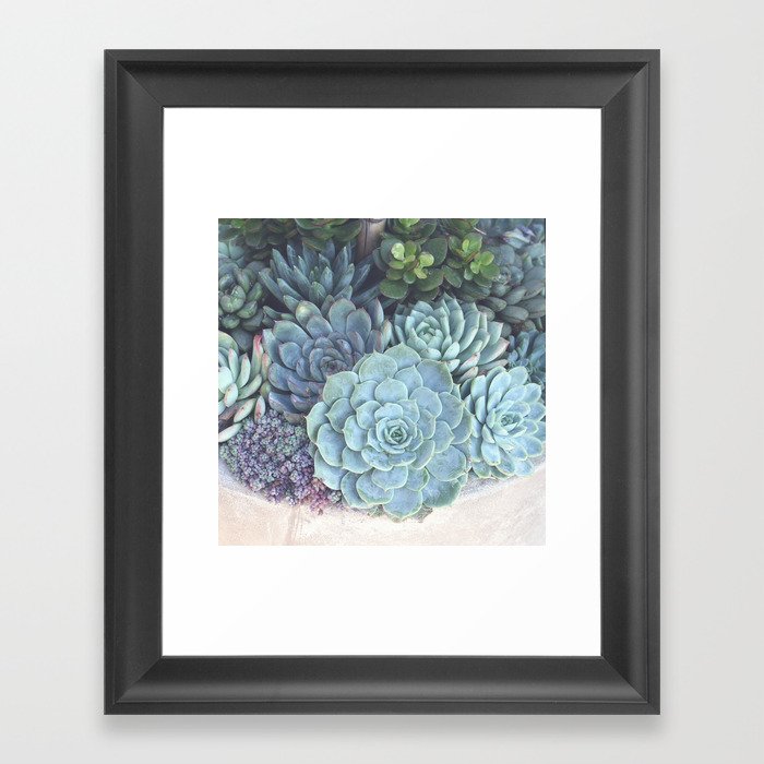 Succulent Container Framed Art Print