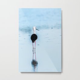Stilt Bird - Stilt - Mirroring - Avocet - Bird - Watt Bird. Little sweet moments. Metal Print