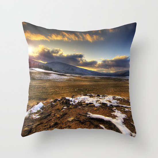 Winter Sun Throw Pillow