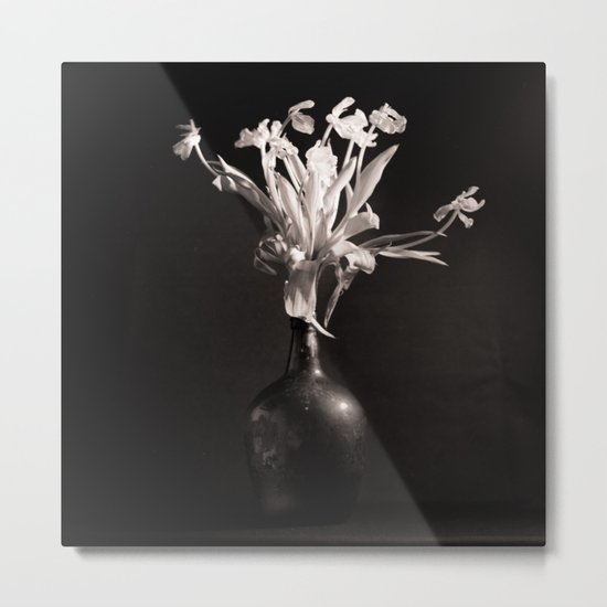 Old White Tulips Metal Print