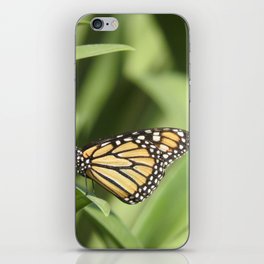 Mexico Photography - Beautiful Butterfly On A Plant iPhone Skin