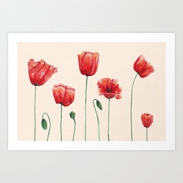 Poppies Time Art Print