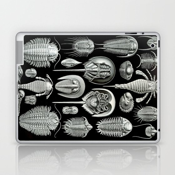 Trilobites and Fossils by Ernst Haeckel Laptop & iPad Skin