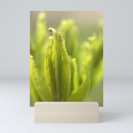 Nature is Magic Macro Photography  Mini Art Print