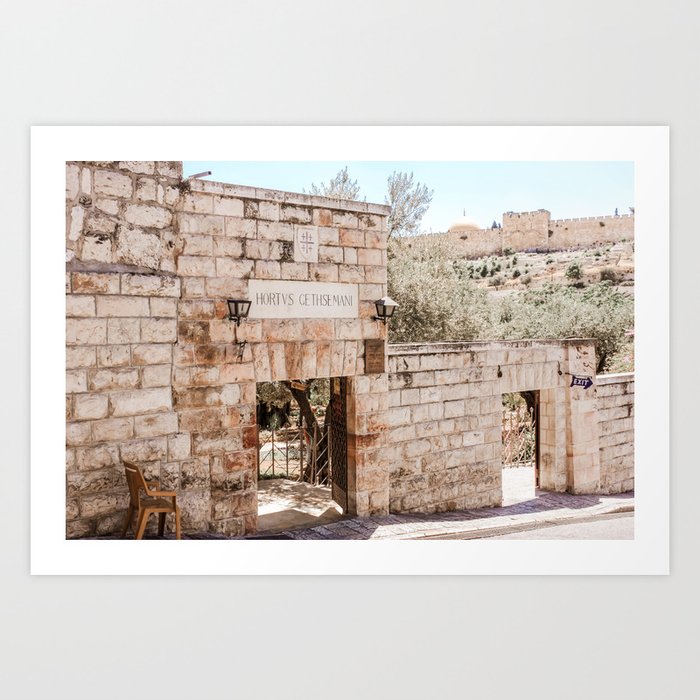 The Garden of Gethsemane Jerusalem in Israel Travel Photography Art Print