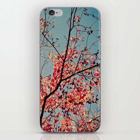 Autumn Branch & Leaves iPhone Skin