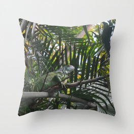 Mexico Photography - Green Iguana Camouflaged In The Leaves Throw Pillow