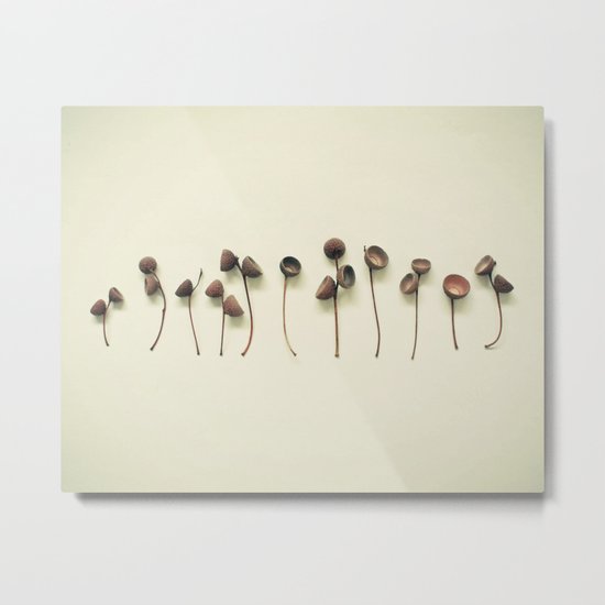Acorn Collection Metal Print