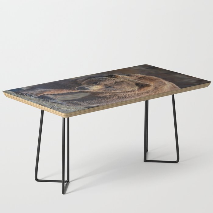 Alaskan Grizzly Bear - Spring Coffee Table