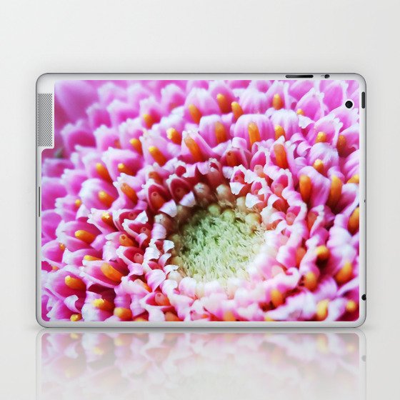 Pink Germini Gerbera Closeup 10 Laptop & iPad Skin