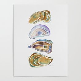 Watercolor Oysters Poster