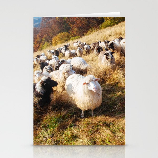 Flock Sheep 45 Stationery Cards