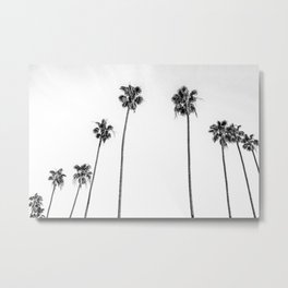 Black + White Palms Metal Print