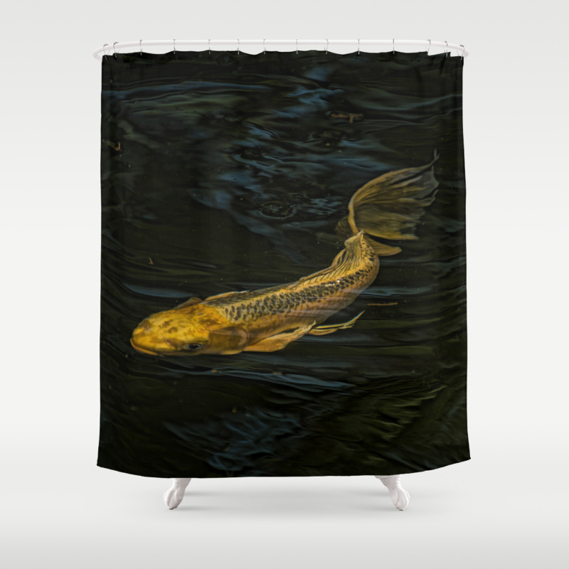 Koi Fish Shower Curtain By Dawnephotography Society6