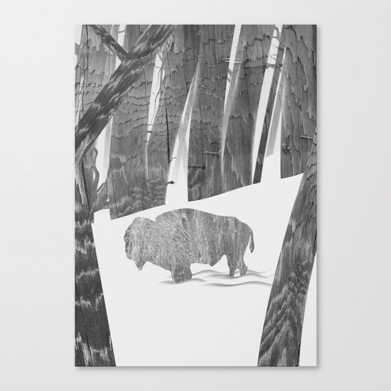 Martwood Bison Canvas Print
