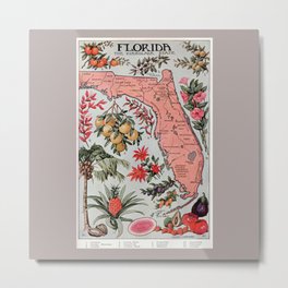 Florida Vintage Poster (1917) Metal Print