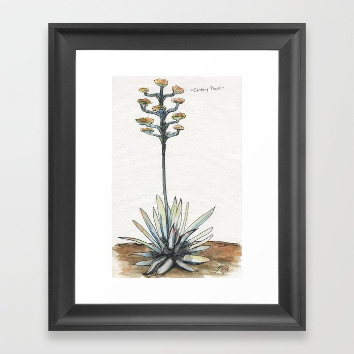 Century Plant (Agave) Framed Art Print