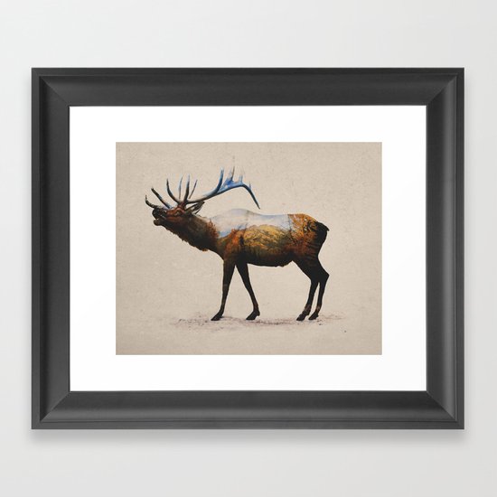 The Rocky Mountain Elk Framed Art Print