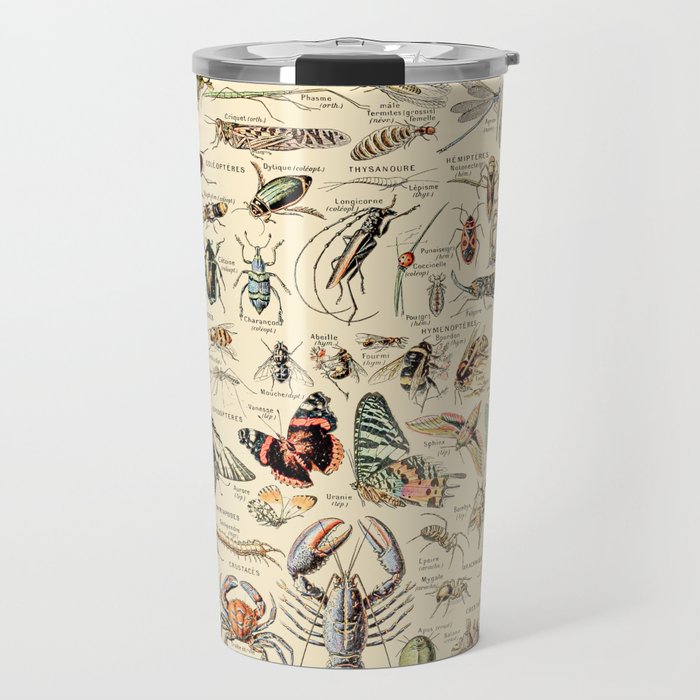 Vintage Insect Identification Chart // Arthropodes by Adolphe Millot 19th Century Science Artwork Travel Mug