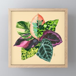 PEOPLE'S PLANTS Framed Mini Art Print