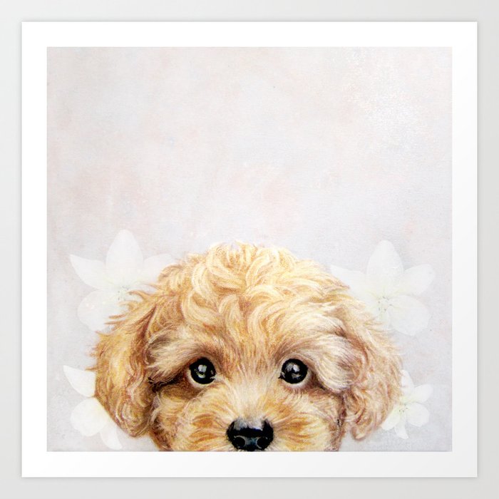 spiselige Overflod Modstander Toy poodle Dog illustration original painting print Art Print by  MiartDesignCreation | Society6