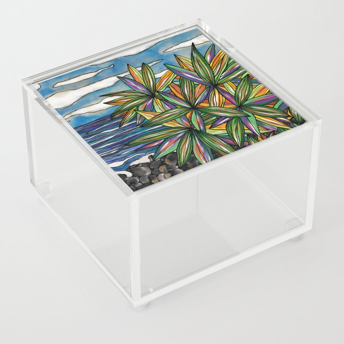 Bargara Beachscape Acrylic Box
