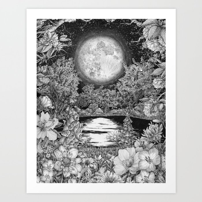 Moon Garden Reflections Art Print