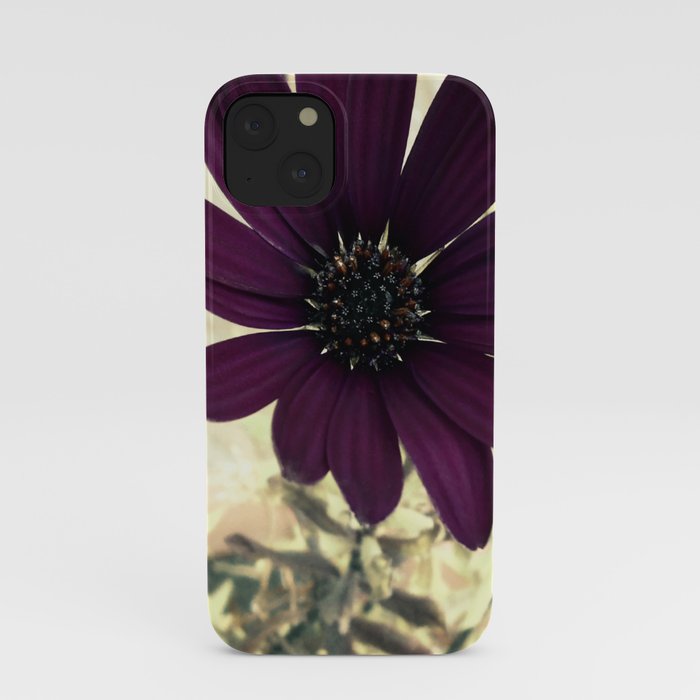 Daisy Autumnal iPhone Case