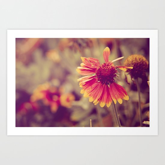 Last Days Art Print