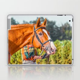 Horse head photo closeup Laptop & iPad Skin