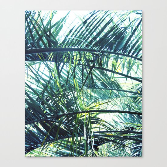 Bright Palm 3 Canvas Print
