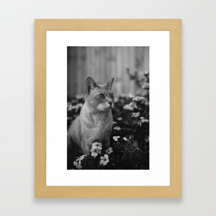cats and flowers Framed Art Print