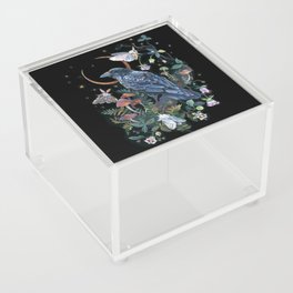 Moon Raven  Acrylic Box