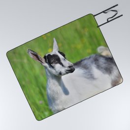 Domestic Goat Eats Grass Meadow Summer   64 Picnic Blanket