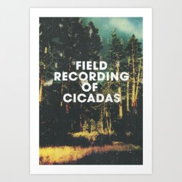 Field Recording of Cicadas Art Print