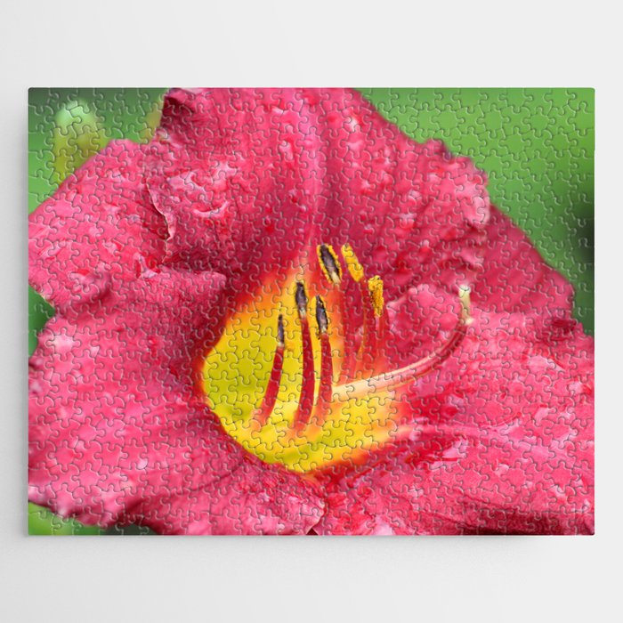 Red Day Lily Close Up Jigsaw Puzzle