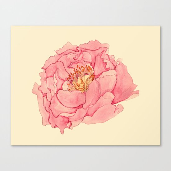 Vintage Peony Canvas Print