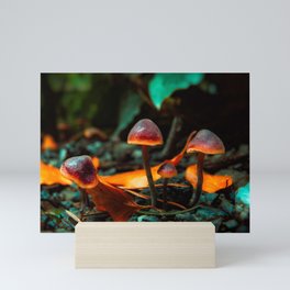 Mushroom Glow Mini Art Print