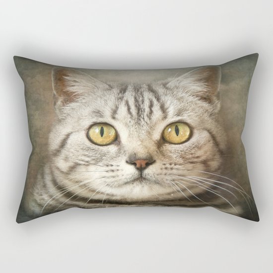 Tabby Cat Rectangular Pillow