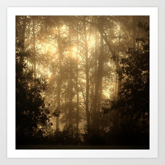Misty Morning Art Print