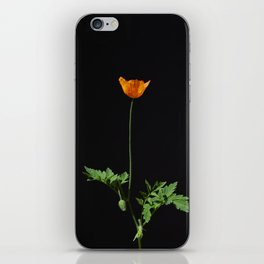 California poppy - Botanical- Flower iPhone Skin