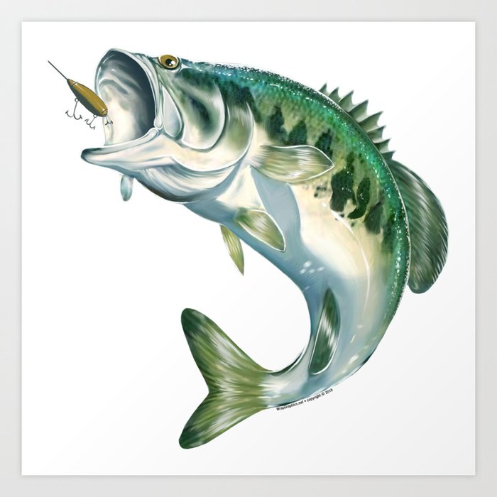 Largemouth Bass #1 Art Print by Robs Wraps